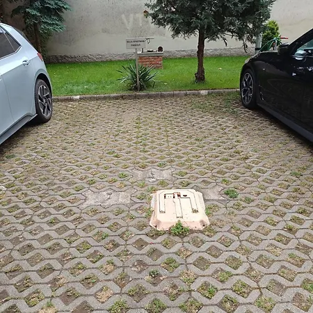 Bella * Nyíregyháza