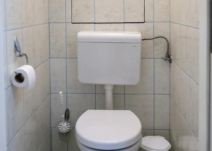 Bella *