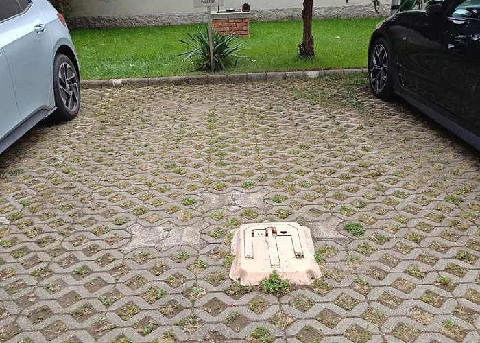 Bella * Nyíregyháza